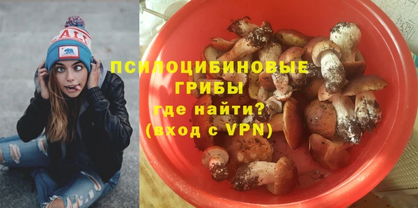 стафф Беломорск