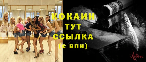 дмт Белокуриха